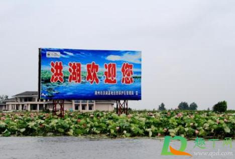 洪湖车牌号是鄂什么?沙市到洪湖高速收费-图2 洪湖车牌号是鄂什么?沙市到洪湖高速收费-图2