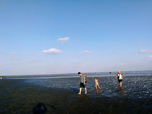 2023上海南汇新城海滩退潮时间?上海沙滩收费-图3 2023上海南汇新城海滩退潮时间?上海沙滩收费-图3