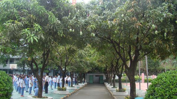 罗湖翠园东晓好不好?深圳市金稻田学校收费-图2 罗湖翠园东晓好不好?深圳市金稻田学校收费-图2