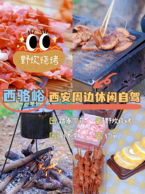洛阳适合野外烧烤的地方？收费站烧烤活动