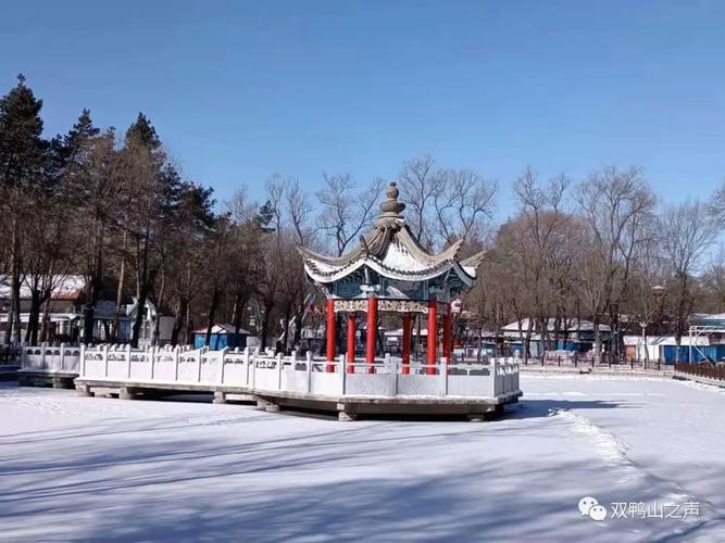 双鸭山儿童玩的地方?双鸭山北秀公园收费吗-图3 双鸭山儿童玩的地方?双鸭山北秀公园收费吗-图3