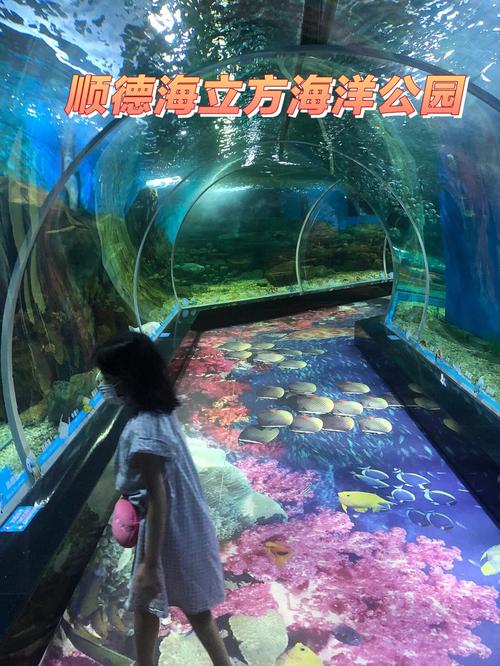 顺德容桂那里有学游泳的？顺德大良游泳馆收费