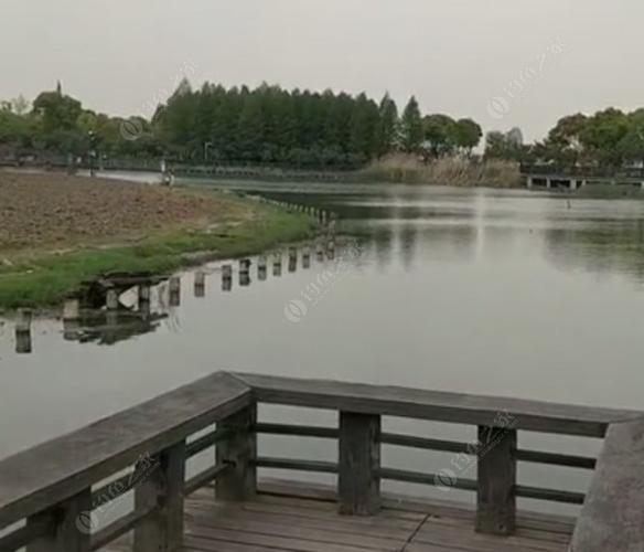 苏州市区钓鱼的好地方？苏州池塘钓鱼怎么收费