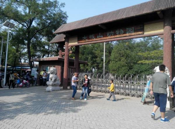 唐山动物园在什么地方啊?桃山村停车场收费-图1 唐山动物园在什么地方啊?桃山村停车场收费-图1