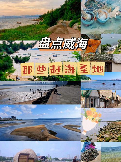 威海影视城赶海怎么走？威海影视城停车收费吗