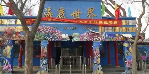太原市最大的海洋公园？迎泽公园海世界收费么