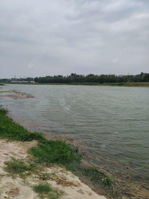 郑州哪能钓鱼啊?荥阳丁店水库钓鱼收费-图2 郑州哪能钓鱼啊?荥阳丁店水库钓鱼收费-图2