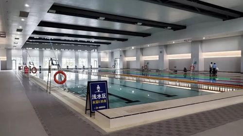 你知道张家港哪里游泳么?张家港市游泳馆收费-图2 你知道张家港哪里游泳么?张家港市游泳馆收费-图2