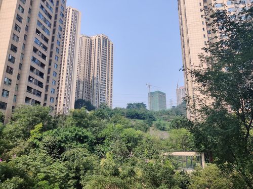 重庆紫御江共几期?紫御国际停车收费-图3 重庆紫御江共几期?紫御国际停车收费-图3
