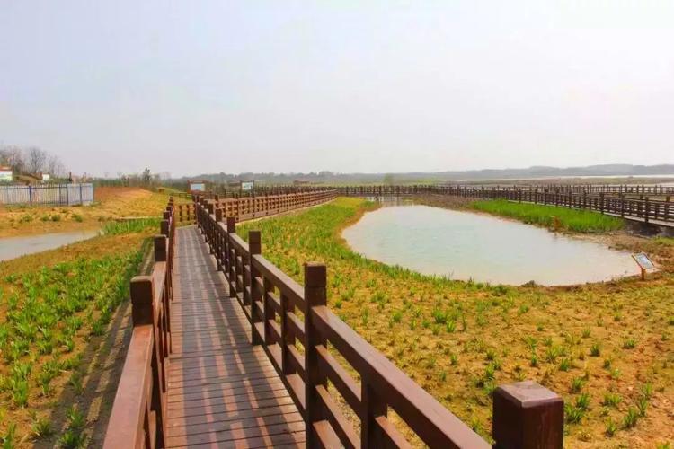 佛祖岭是景区吗？安山湿地公园收费吗-图2