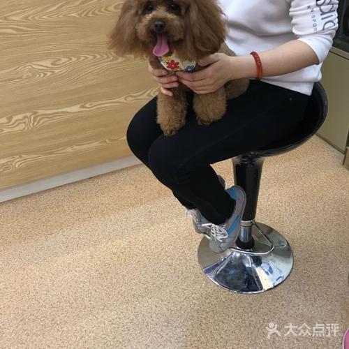 阿来宠物靠谱吗?芭比堂宠物收费-图2 阿来宠物靠谱吗?芭比堂宠物收费-图2