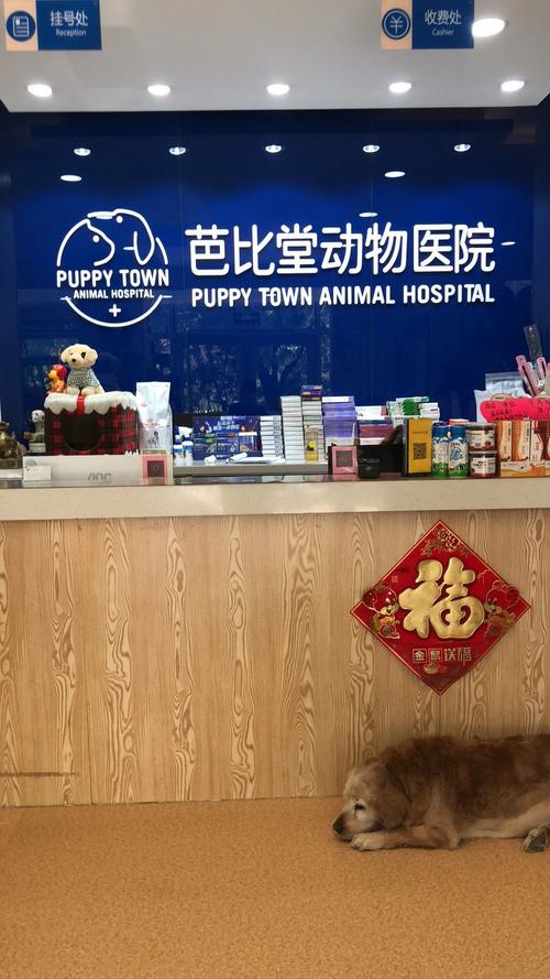 阿来宠物靠谱吗?芭比堂宠物收费-图3 阿来宠物靠谱吗?芭比堂宠物收费-图3