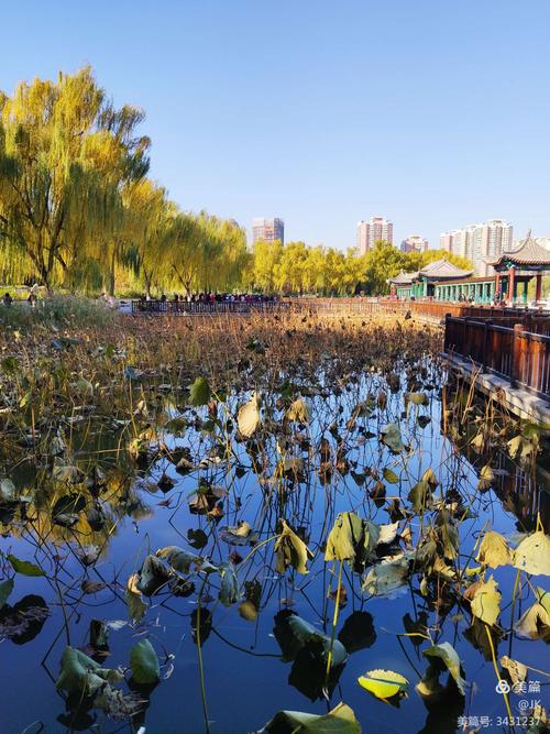 北京适合穷人逛的景点？北京莲花池公园收费么