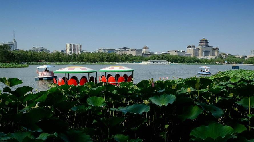 北京适合穷人逛的景点?北京莲花池公园收费么-图3 北京适合穷人逛的景点?北京莲花池公园收费么-图3