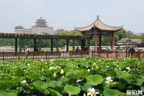 北京适合穷人逛的景点?北京莲花池公园收费么-图2 北京适合穷人逛的景点?北京莲花池公园收费么-图2
