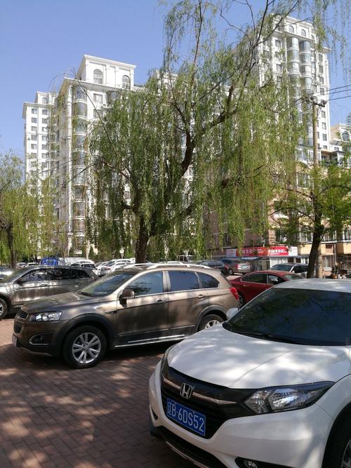 大连私家车区内可以跑么?大连封闭小区停车收费标准-图2 大连私家车区内可以跑么?大连封闭小区停车收费标准-图2