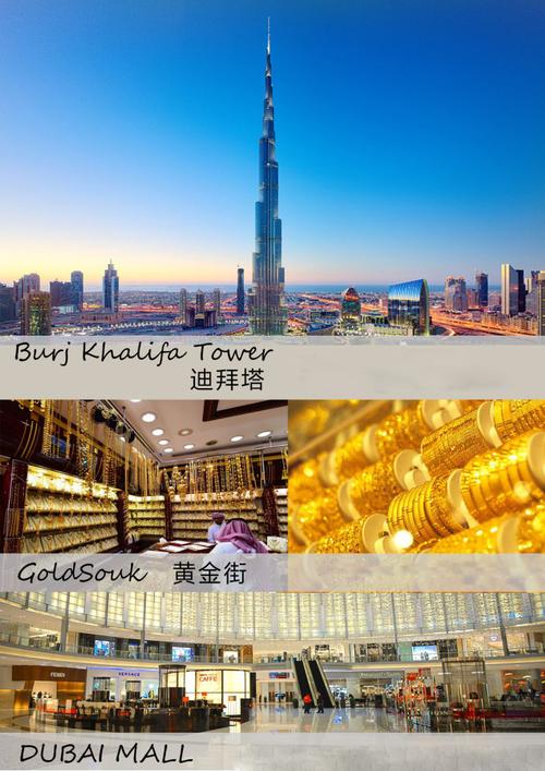 跟朋友自助去迪拜玩,想咨询下买份短期出国旅游保险费用多少?迪拜停车收费自助机-图2 跟朋友自助去迪拜玩,想咨询下买份短期出国旅游保险费用多少?迪拜停车收费自助机-图2