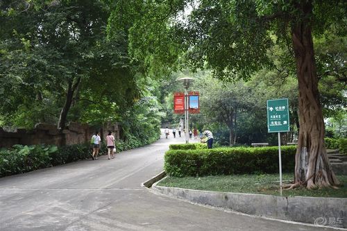 东莞人民公园停车攻略?东莞宾馆停车收费标准-图2 东莞人民公园停车攻略?东莞宾馆停车收费标准-图2