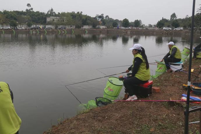 请问青白江有哪些钓鱼的地方?光明钓场收费-图2 请问青白江有哪些钓鱼的地方?光明钓场收费-图2