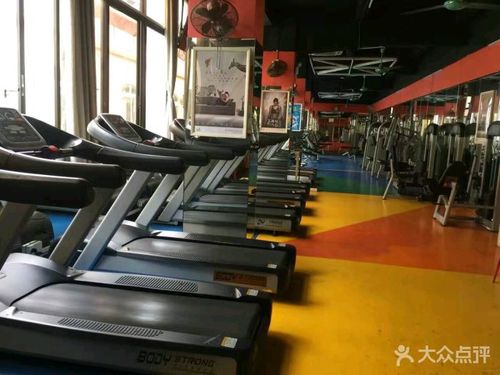 派地奥狗粮怎么样?广州派澳健身教练收费-图1 派地奥狗粮怎么样?广州派澳健身教练收费-图1