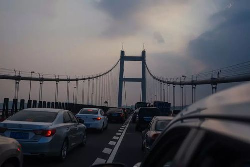 东莞虎门大桥怎么停车?虎门大桥多少收费站-图2 东莞虎门大桥怎么停车?虎门大桥多少收费站-图2