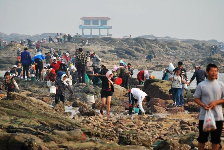 山东省赶海最佳地点排行榜?张家台赶海园收费吗-图3 山东省赶海最佳地点排行榜?张家台赶海园收费吗-图3