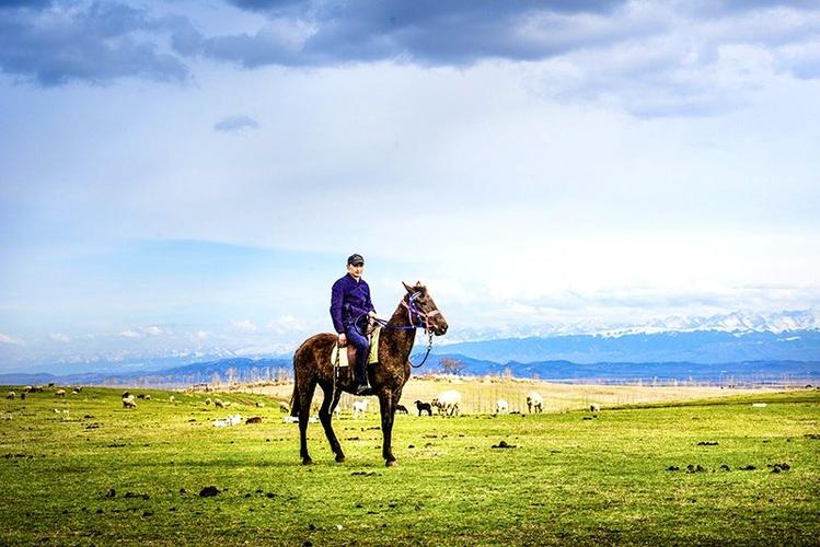 昭苏旅游文案?昭苏马场收费-图2 昭苏旅游文案?昭苏马场收费-图2