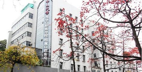 中大口腔医学院是专科学校吗？中大口腔医院收费标准-图3