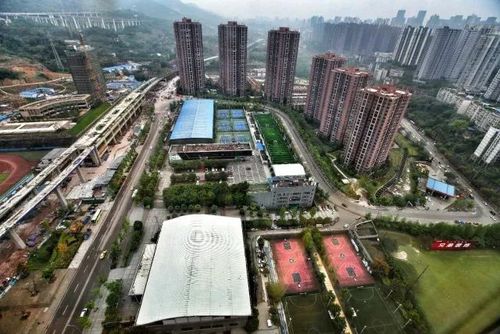 福田一期,二期,三期分别是批发什么?重庆高科体育中心收费-图3 福田一期,二期,三期分别是批发什么?重庆高科体育中心收费-图3