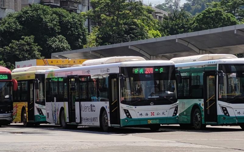 请问有没有每天都发车的从珠海回佛山的车?珠海201路收费-图3 请问有没有每天都发车的从珠海回佛山的车?珠海201路收费-图3
