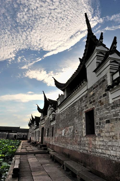 上海走马塘拍鸟在什么地方？走马塘古村落收费吗