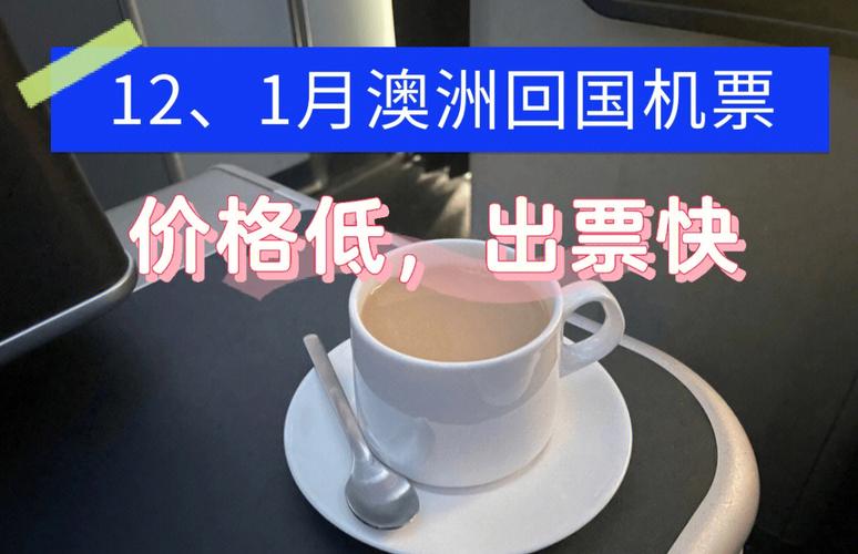 悉尼飞德国柏林机票人民币价格？悉尼博物馆收费
