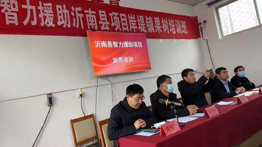 山东沂南岸堤镇2023年春节大集?辛集 大庄 收费站-图2 山东沂南岸堤镇2023年春节大集?辛集 大庄 收费站-图2