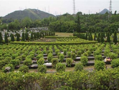 如何购买广州市中华永久墓园墓地,最便宜是多少钱?新塘有限电视收费标准-图2 如何购买广州市中华永久墓园墓地,最便宜是多少钱?新塘有限电视收费标准-图2