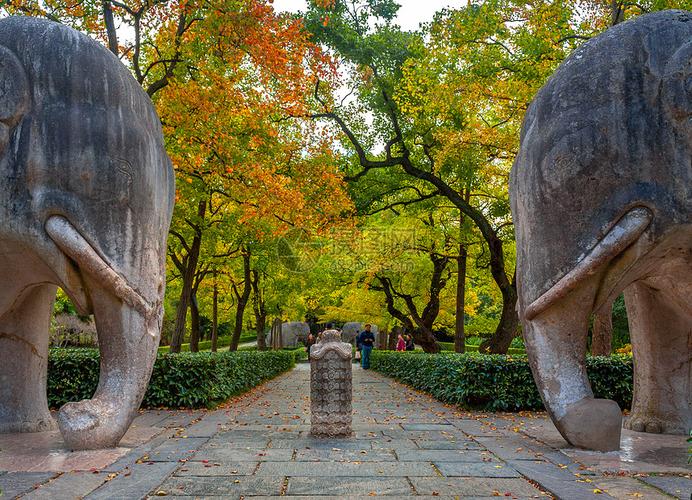 明孝陵最佳游览路线?明孝陵神道收费-图2 明孝陵最佳游览路线?明孝陵神道收费-图2