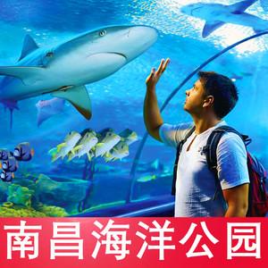 南昌哪里有海洋馆啊?南昌水族馆收费吗-图3 南昌哪里有海洋馆啊?南昌水族馆收费吗-图3