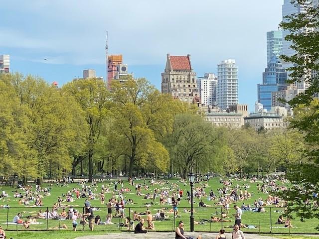 纽约有哪些著名街道?纽约展望公园收费吗-图1 纽约有哪些著名街道?纽约展望公园收费吗-图1