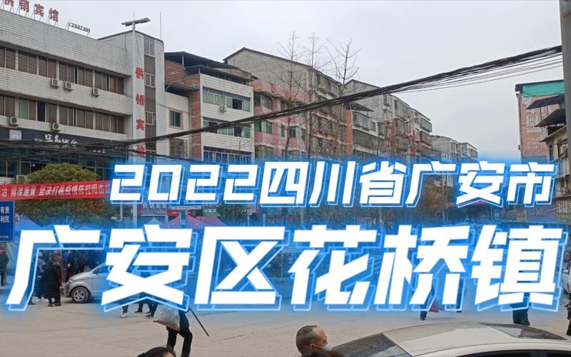广安花桥镇打狂犬疫苗多少钱？广安到花桥镇高速收费-图2