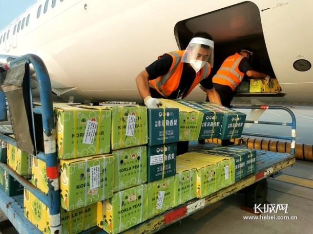 80斤鲜肉用空运费多少?国内空运肉类收费-图3 80斤鲜肉用空运费多少?国内空运肉类收费-图3