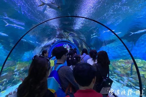 海底世界停车场多少一小时?海底世界停车场收费-图2 海底世界停车场多少一小时?海底世界停车场收费-图2