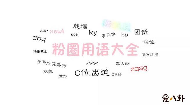 dyf什么意思饭圈用语？dyf舞蹈工作室收费