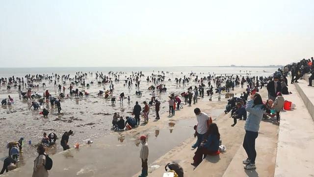 天津去哪可以赶海？北塘渔村收费吗