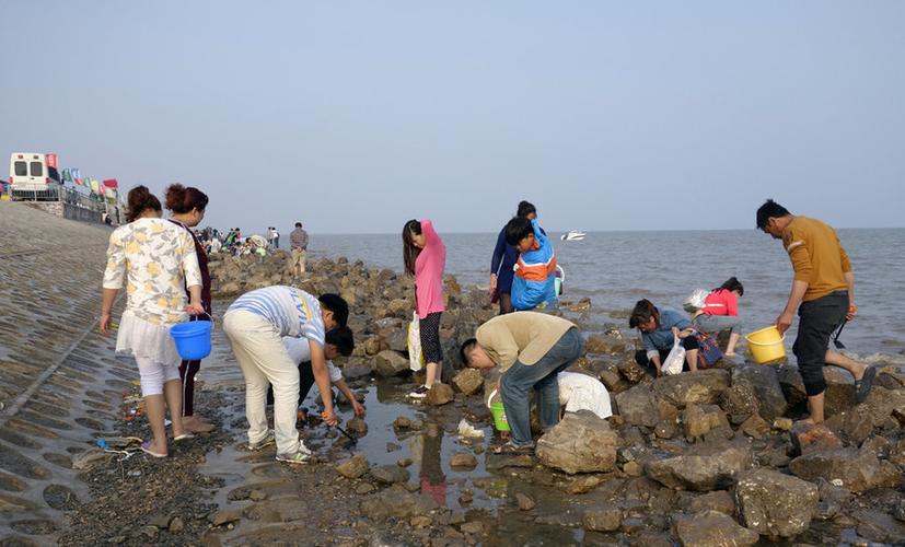 天津去哪可以赶海?北塘渔村收费吗-图3 天津去哪可以赶海?北塘渔村收费吗-图3