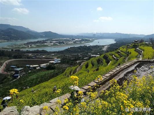大渡口五彩梯田坐什么公交?菜园坝火车站停车收费-图2 大渡口五彩梯田坐什么公交?菜园坝火车站停车收费-图2