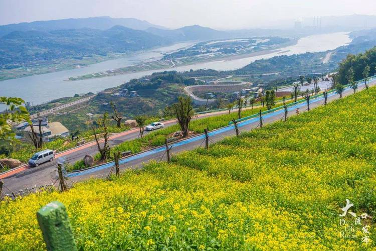 大渡口五彩梯田坐什么公交？菜园坝火车站停车收费