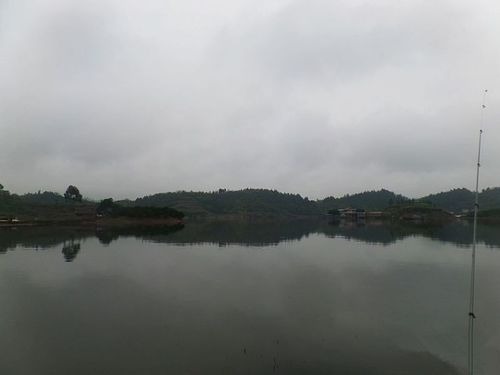 长寿湖钓鱼2022最佳钓位?长寿湖夜钓场收费-图3 长寿湖钓鱼2022最佳钓位?长寿湖夜钓场收费-图3