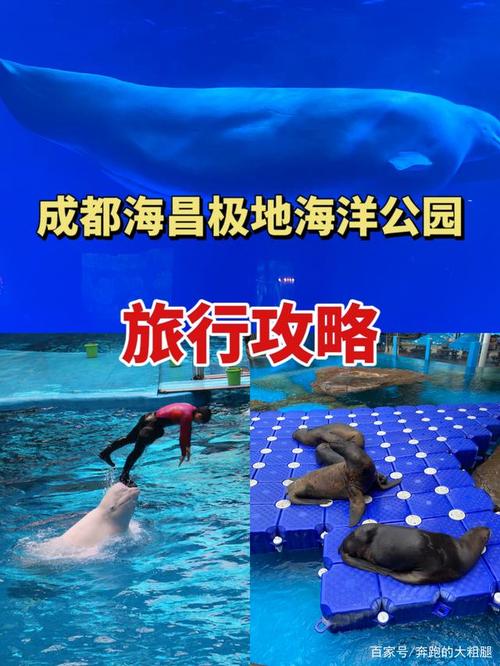 成都海洋馆门票？成都海洋馆怎么收费-图2