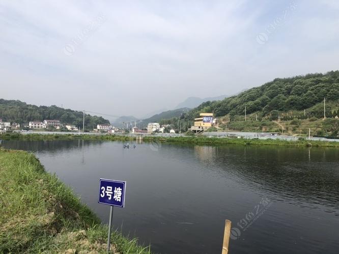 岳阳临湘古洞村钓场收费多少?垂钓 收费-图2 岳阳临湘古洞村钓场收费多少?垂钓 收费-图2