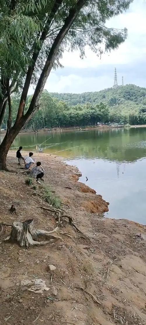 求东莞附近免费钓鱼的地方?东莞收费水库钓鱼-图3 求东莞附近免费钓鱼的地方?东莞收费水库钓鱼-图3