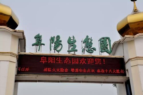 阜阳生态园老年人要票吗？阜阳生态园停车收费吗